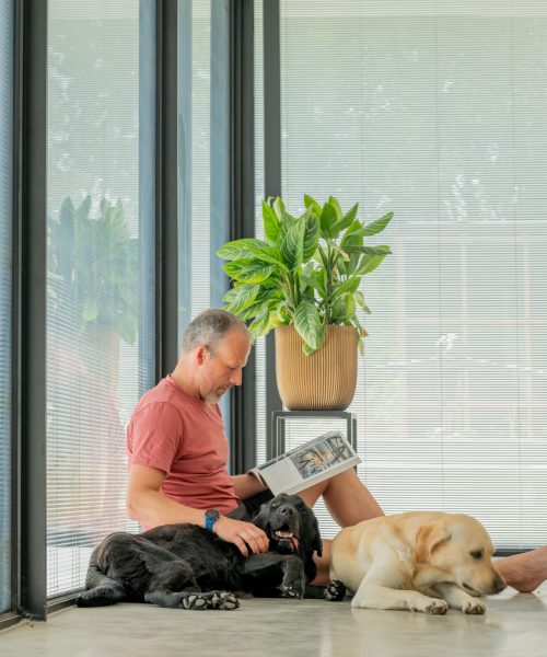 Polysun Screenline